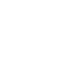 White checkmark